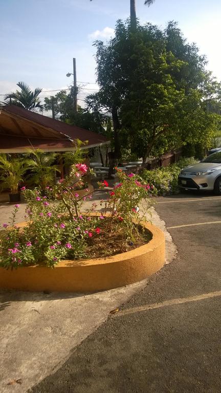 Palm Bay Guest House & Restaurant Montego Bay Ngoại thất bức ảnh