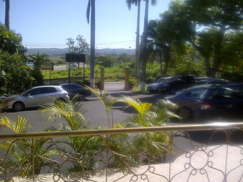 Palm Bay Guest House & Restaurant Montego Bay Ngoại thất bức ảnh